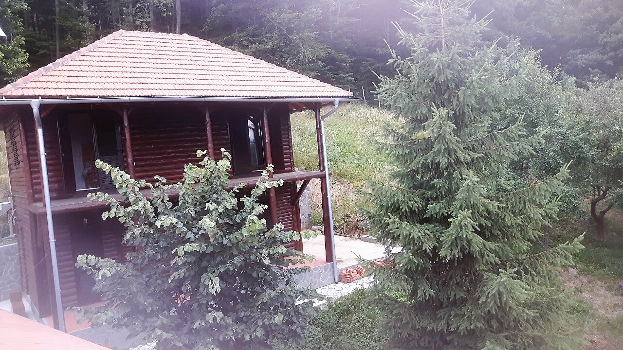 www.etnomilenkovic.rs
