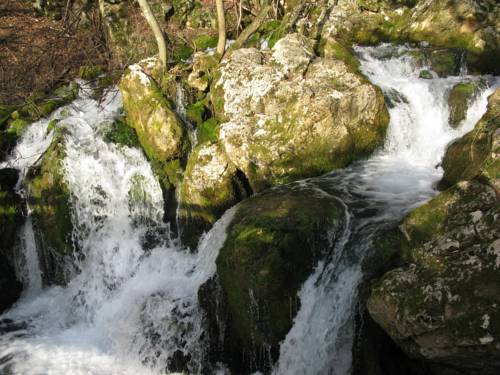 Izvor u Lisinama